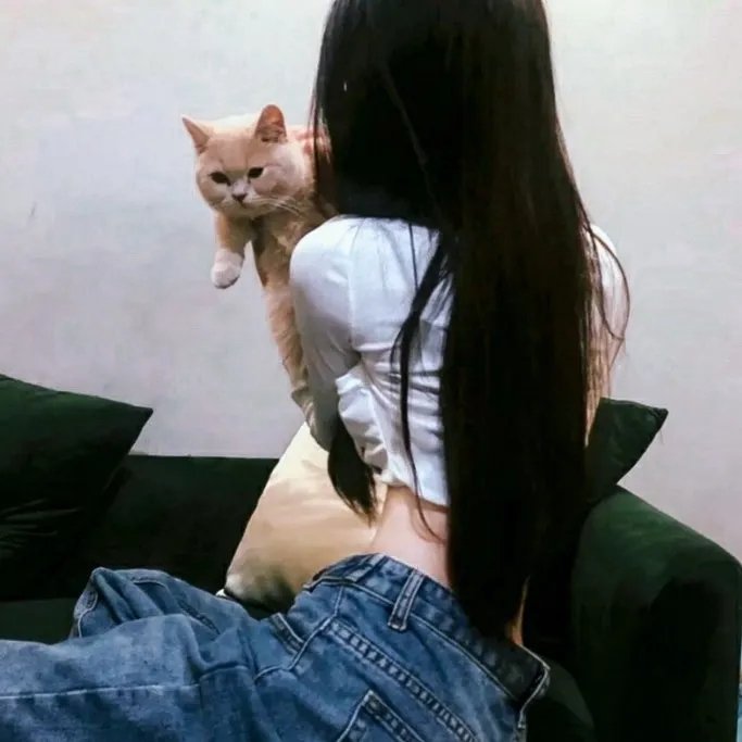 猪猪侠之英雄猪少年